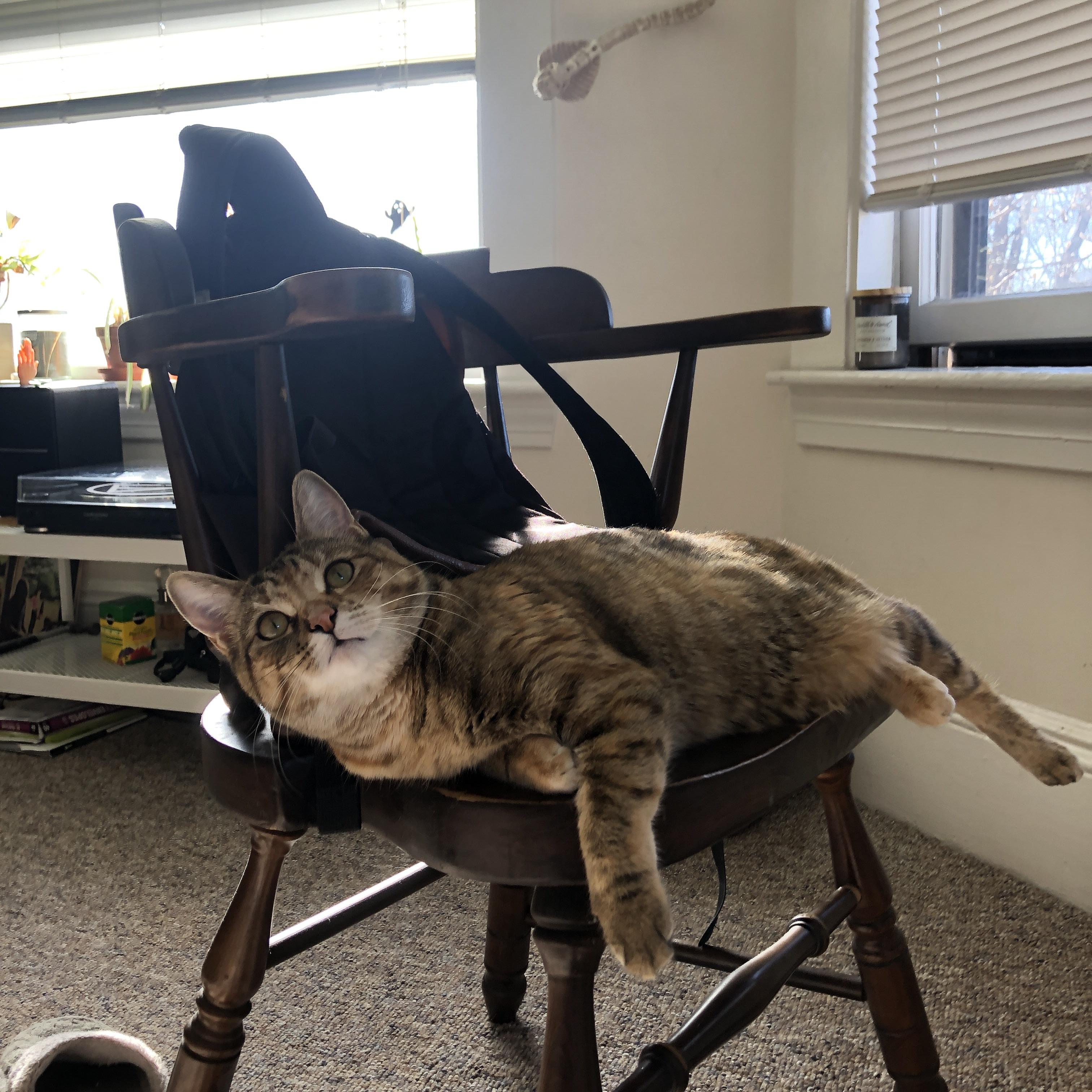 跨越大陆的魔法，当加维出现在伊朗对阵澳大利亚之战