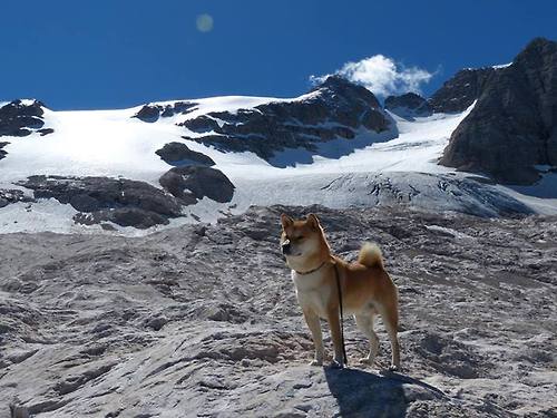 开云体育app-封印破除，拨云见日，蒂亚戈关键之战重铸利物浦之魂