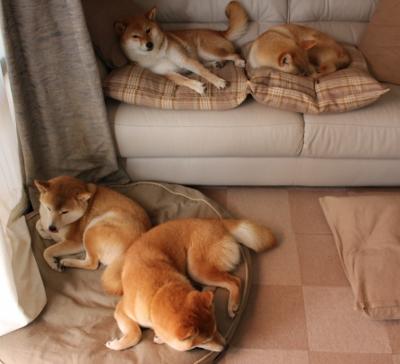 暗夜救主！奥利维耶，抢七终章里唯一的神