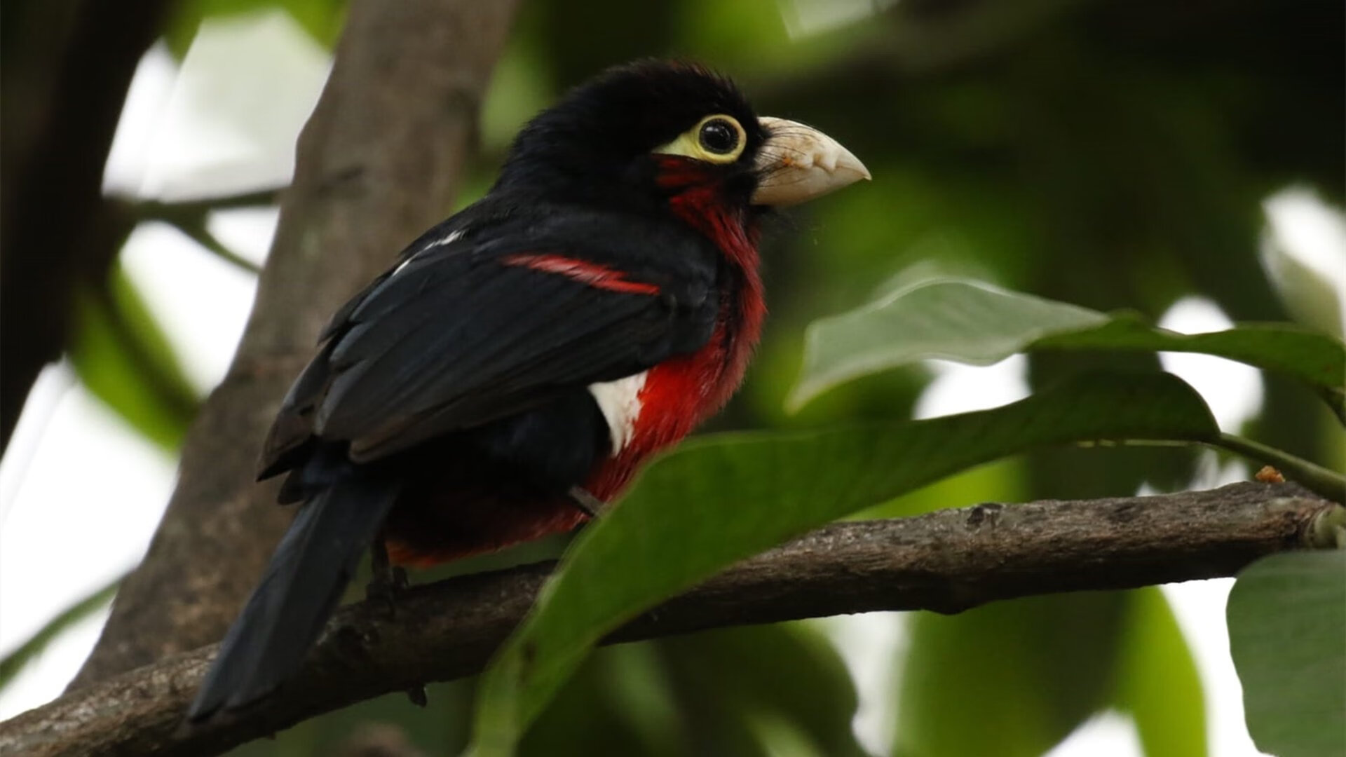 季后赛抢七之夜，德布劳内120分钟暖机，最后时刻终于开机