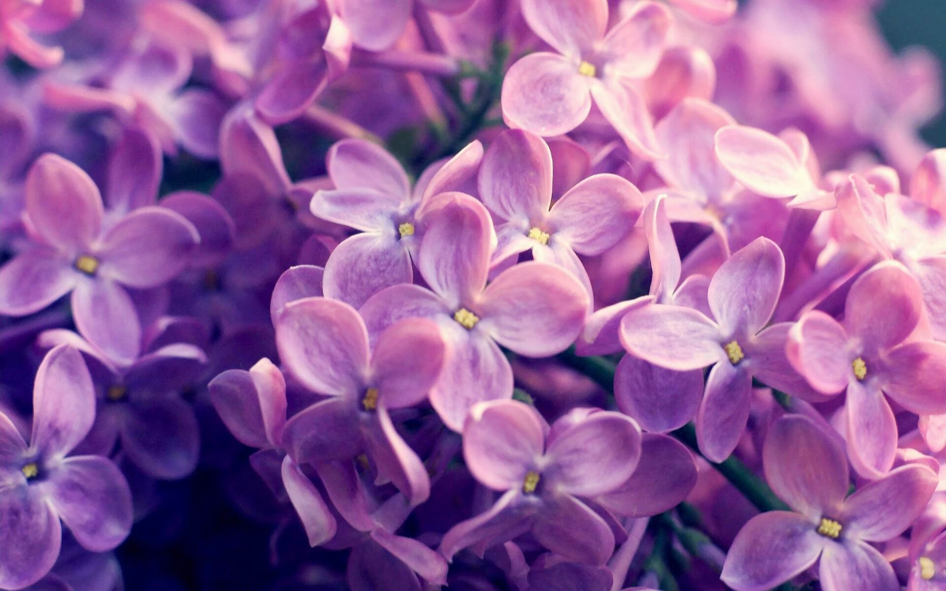 戈贝尔化身为叹息之墙，奇才众志成城掀翻不可一世的勇士