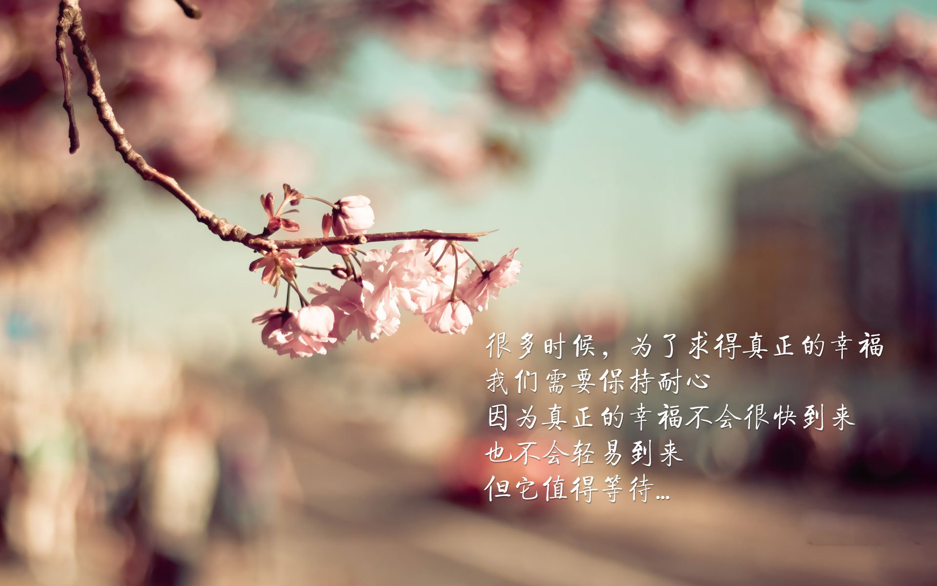 唯一的神迹,2026世界杯F组,梅西的致命一击与门将神勇铸就美国不朽之夜
