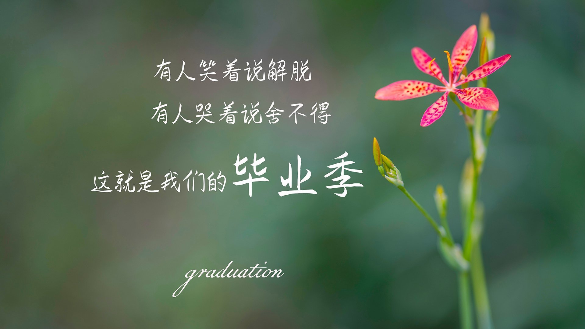 潘帕斯之刃,巴雷拉在2026世界杯E组完成致命一击,阿根廷逆转智利的唯一剧本