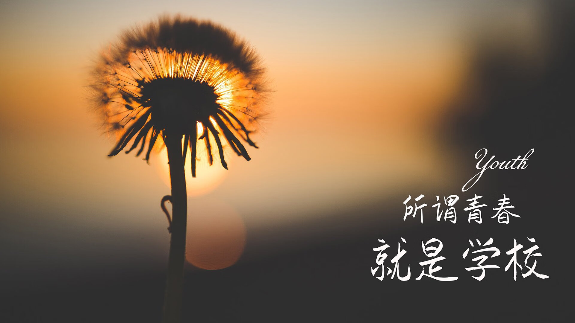 一球定乾坤,2026世界杯四分之一决战,京多安率斯洛伐克绝境破捷克