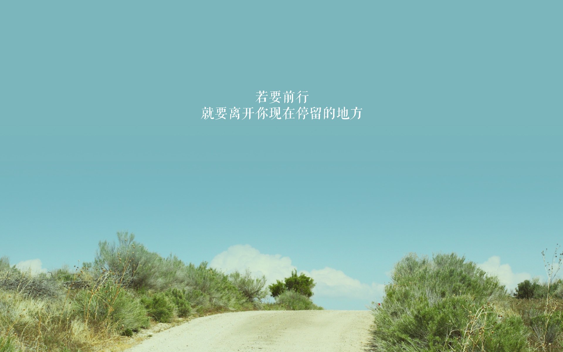 沙漠之鹰折戟星条旗，2026世界杯D组史诗逆转，齐耶赫绝唱光芒撕裂北美苍穹