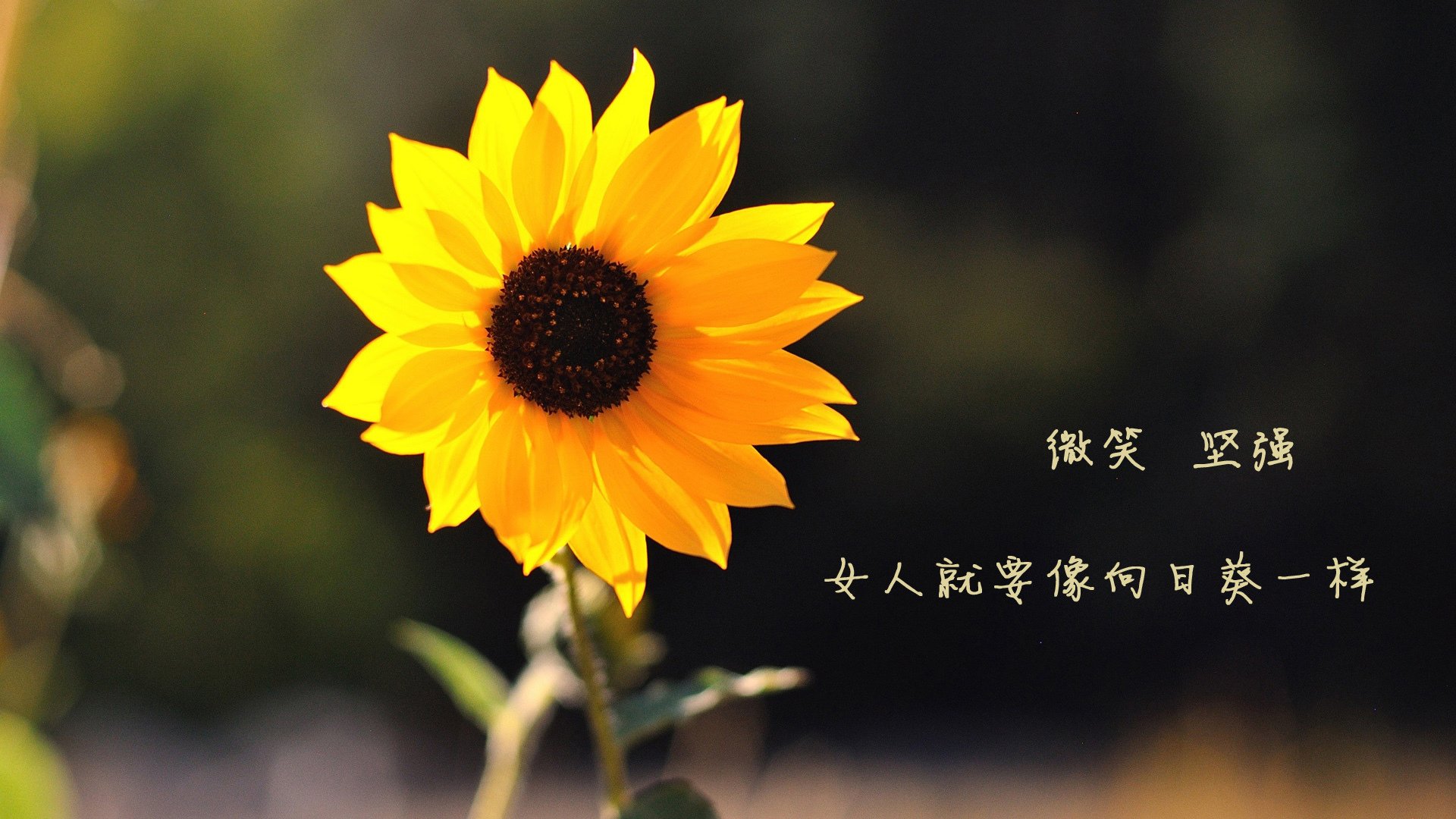 悉尼雨夜的神话,当替补门将的左脚改写了A组生死线