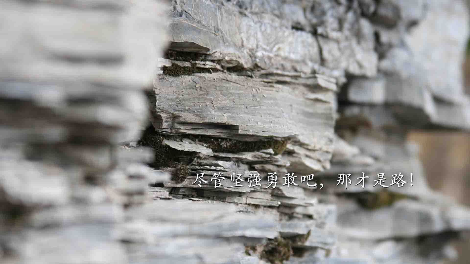 开云体育在线-北欧风暴席卷东亚劲旅，2026世界杯G组焦点战，芬兰钢铁洪流碾压日本，费利克斯上演孤星绝杀